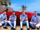 The Beach Boys tribute artist
