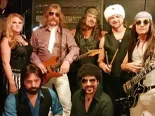 Doobie Brothers tribute artist