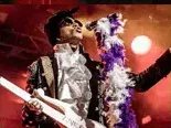 Prince tribute artist