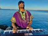 Stevie Wonder tribute artist